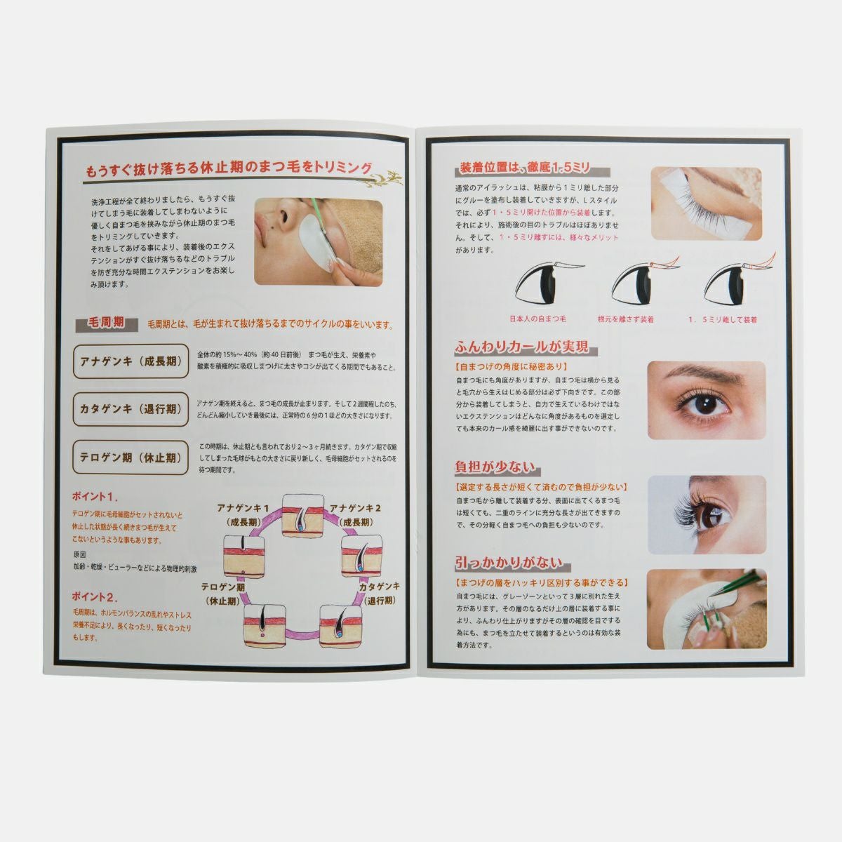 まつ毛エクステ基礎知識テキスト | aile beauty academy -アイリストの
