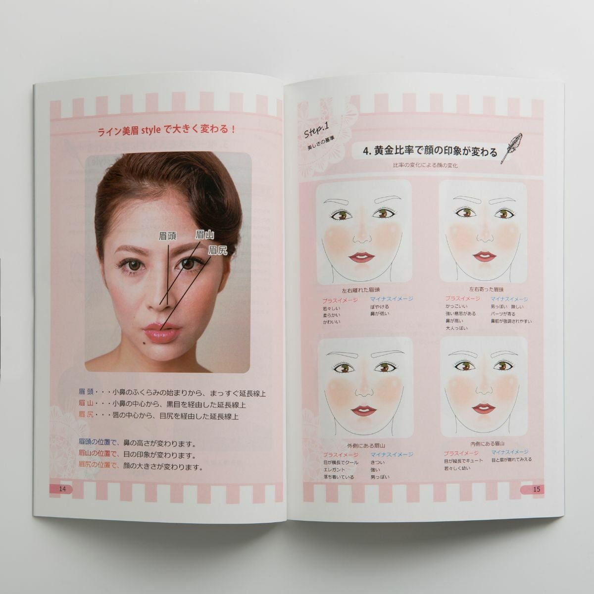 眉毛基礎知識テキスト | aile beauty academy -アイリストのための